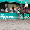 Exposicion nacional del caballo Iberoamericano 2007
