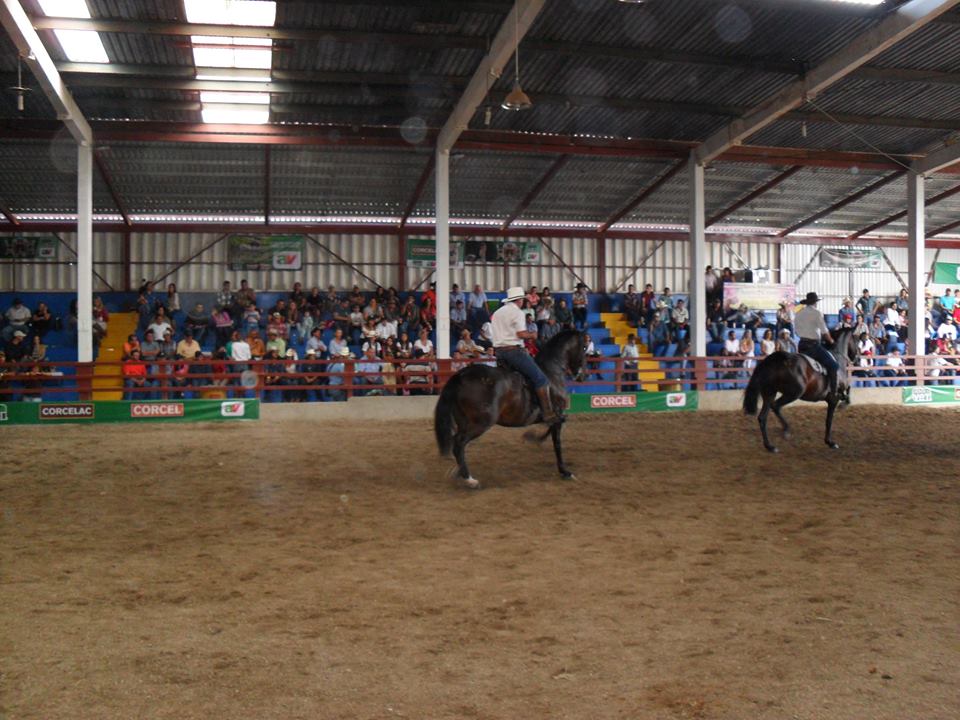 campo ayala