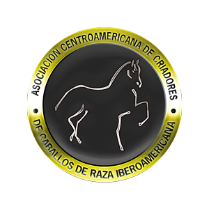Imagen Contacto