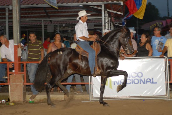 Expo Pococí 2011