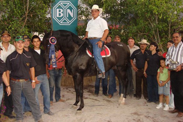 Exposicion nacional del caballo Iberoamericano 2009
