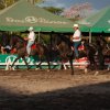 Exposicion nacional del caballo Iberoamericano 2009