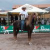 Exposicion nacional del caballo Iberoamericano 2010